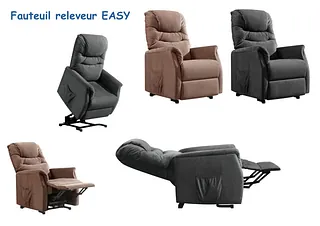 fauteuil releveur easy